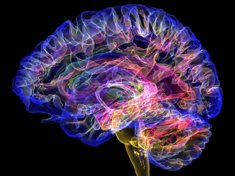 欧美性污视频大脑植入物有助于严重头部损伤恢复